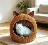 Кошачья голова из коричневого клея, сделанная из кошачьей головы с коричневым мультяшным ковриком, кошачий питомник, кошачий питомник, кошачий питомник, кошачий питомник details Picture
